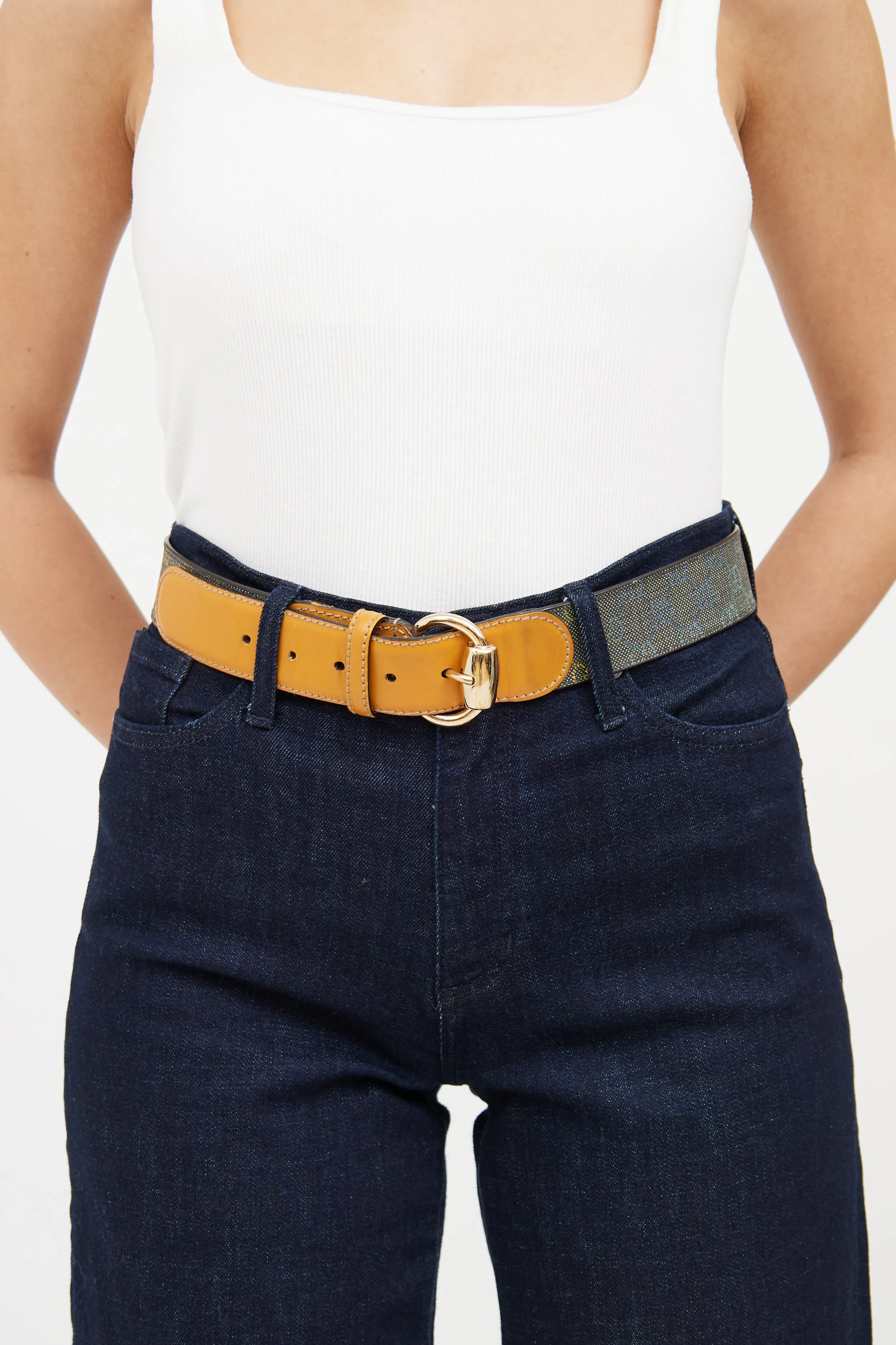 Beige & Multi Gradient Guccisma Belt
