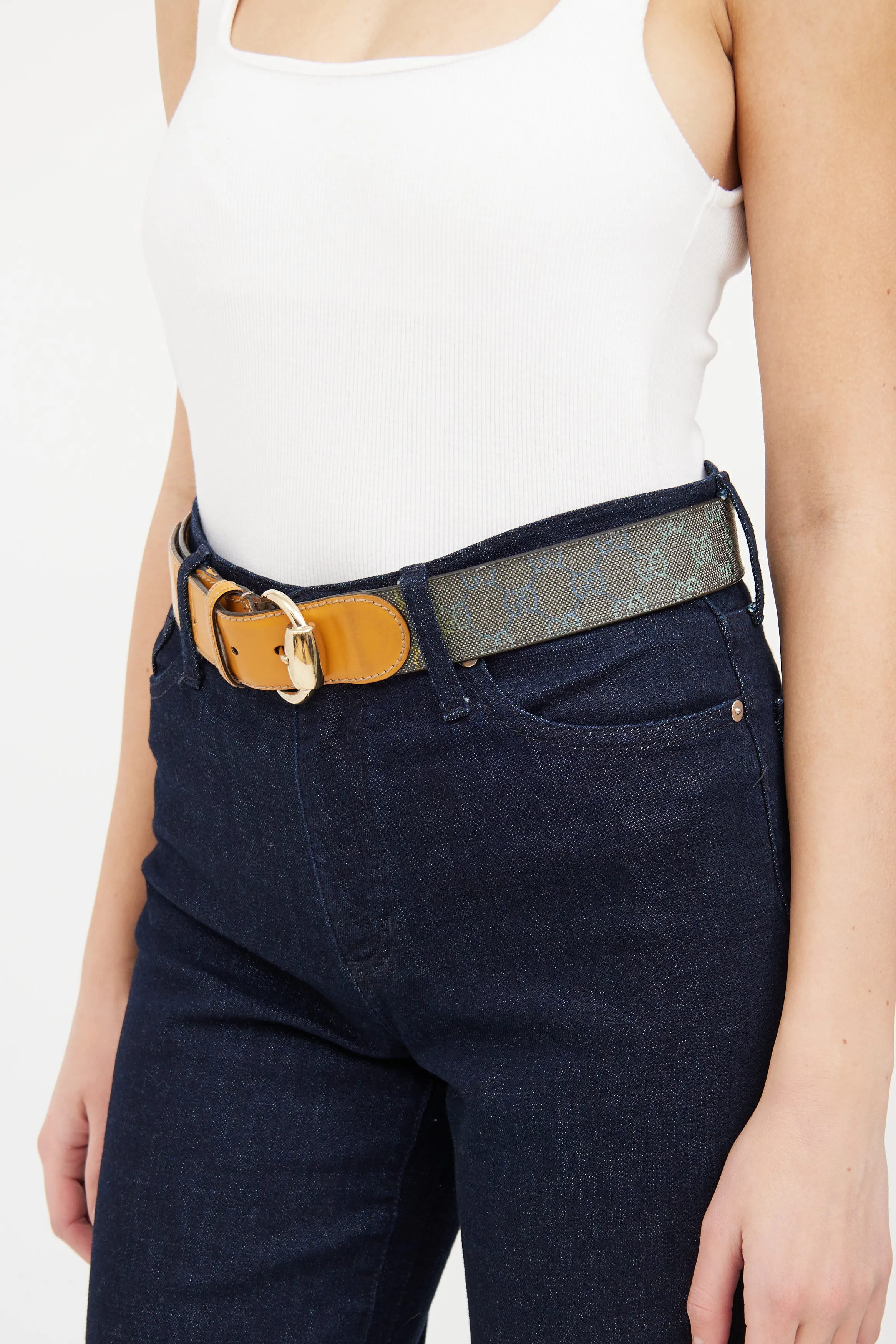 Beige & Multi Gradient Guccisma Belt