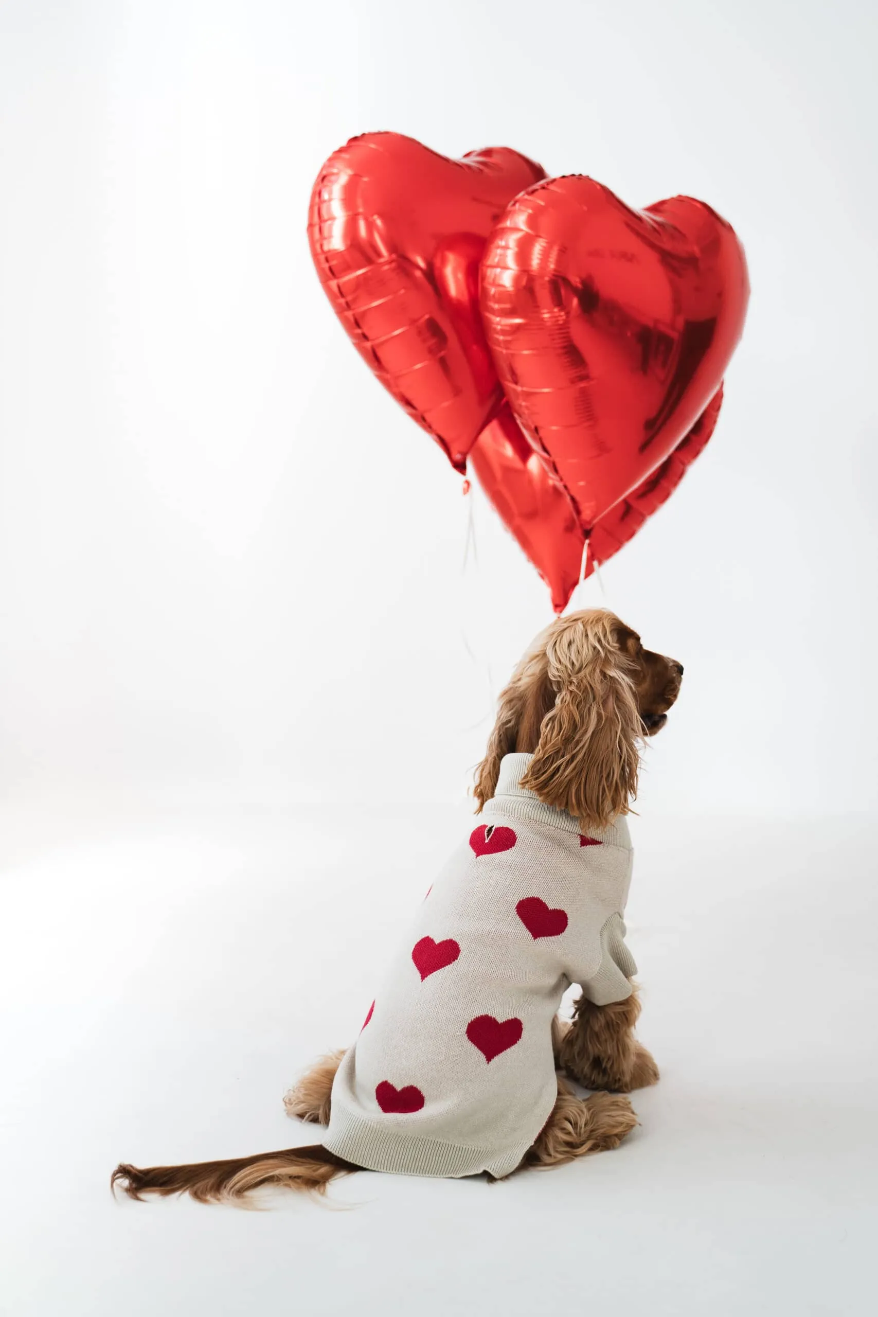 Beige Heart Dog Sweater