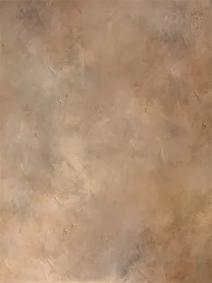 Brown Master Printed Photo Backdrop